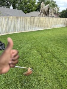 We care about your lawn